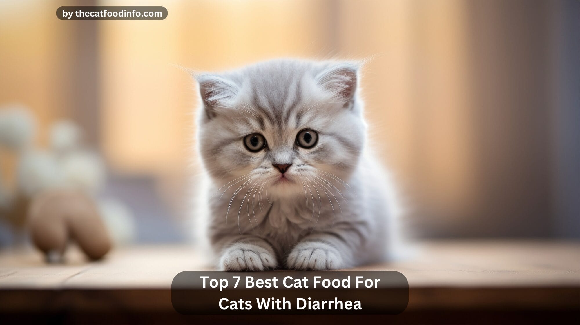 top-7-best-cat-food-for-cats-with-diarrhea-in-2023