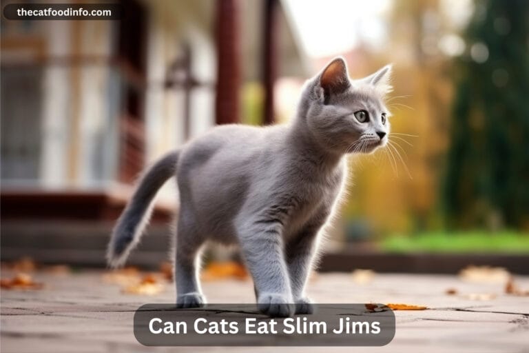 Can Cats Eat Slim Jims? The Ultimate Guide