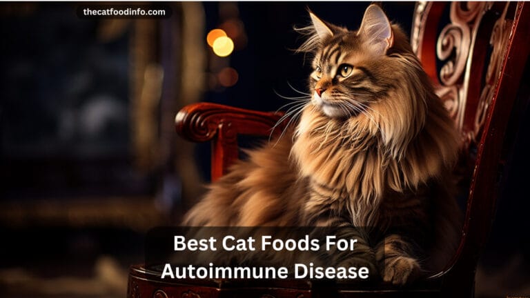 Top 6 Best Cat Foods For Autoimmune Disease In 2023