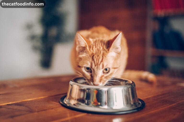 Can Cats Eat Black-Eyed Peas? The Complete Guidance