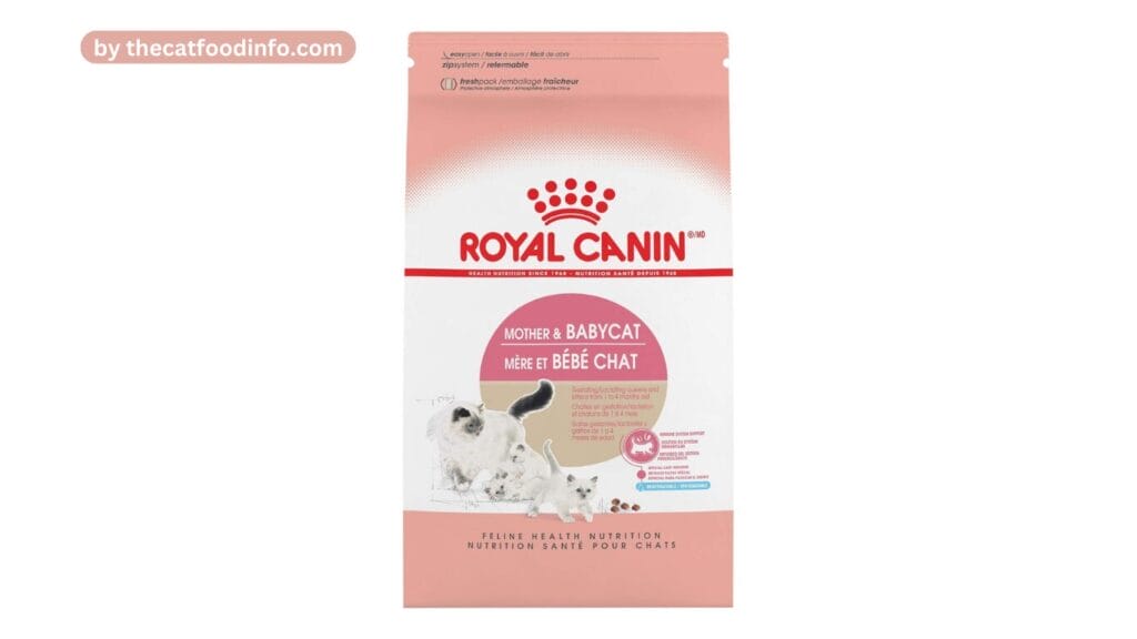 Royal Canin Feline Health Nutrition Mother & Babycat Dry Cat Food