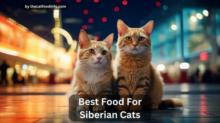 Top 11 Best Food For Siberian Cats In 2024