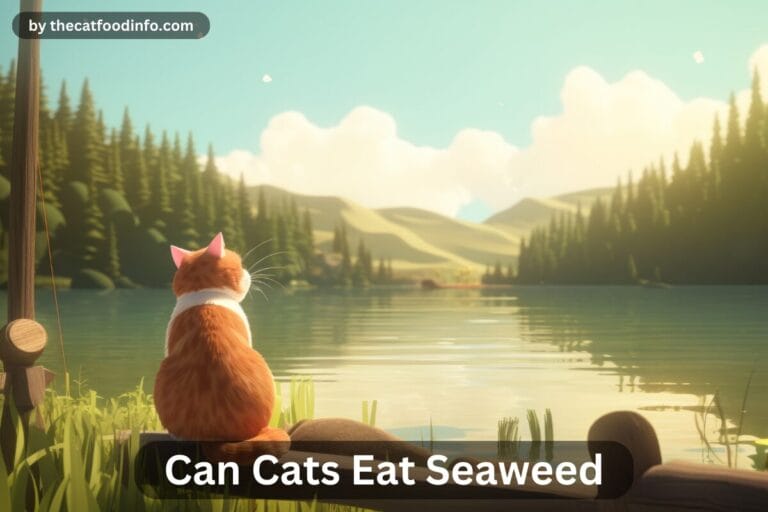 Can Cats Eat Seaweed? A Comprehensive Guide