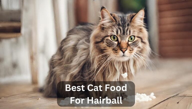 Top 8 Best Cat Food For Hairball In 2024