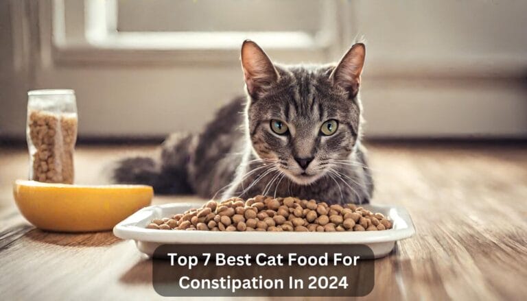 Top 7 Best Cat Food For Constipation In 2024