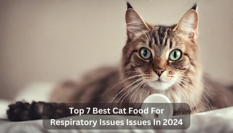 Top 7 Best Cat Food For Respiratory Issues In 2024