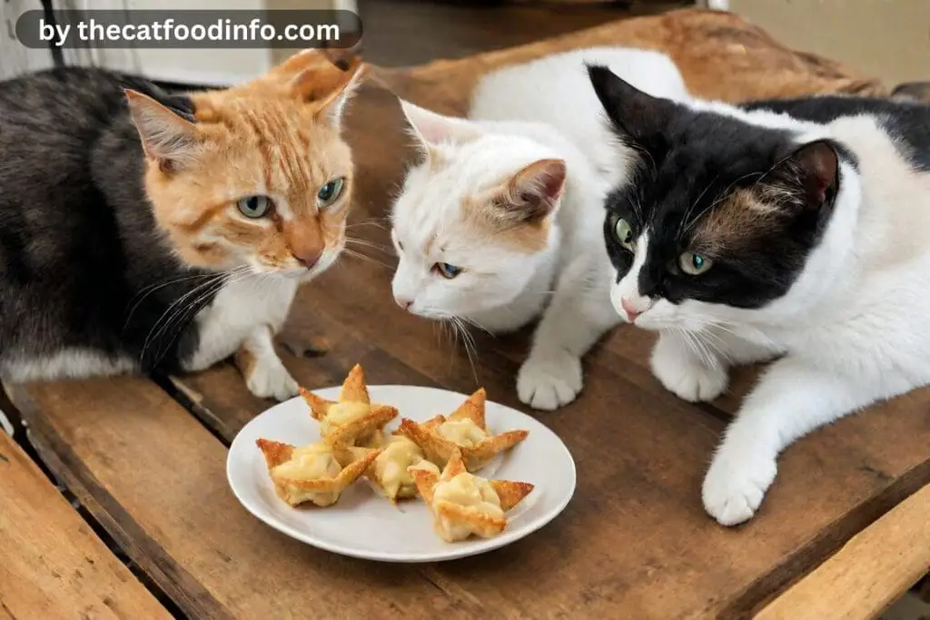 Can Cats Eat Crab Rangoon