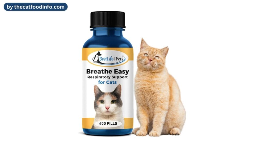 Breathe Easy for Cat