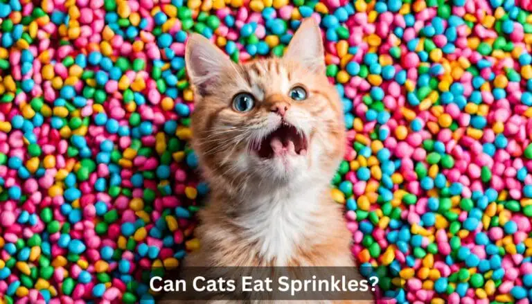 Can Cats Eat Sprinkles? The Ultimate Guide Step-by-Step