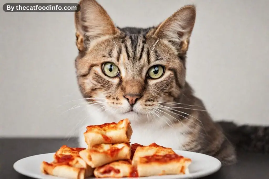 Can Cats Eat Pizza Rolls