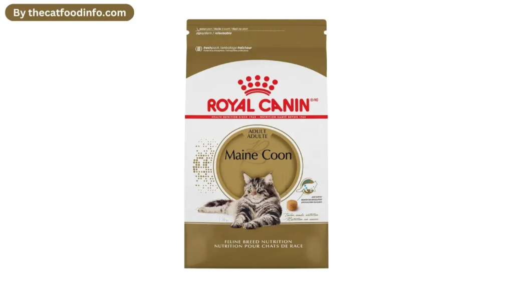 Best Royal Canin Cat Food