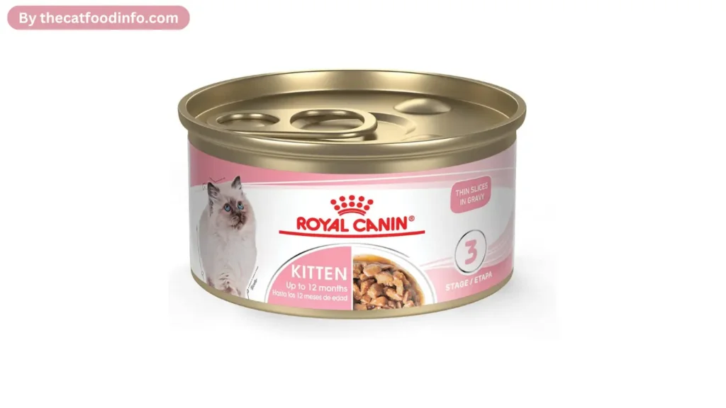 Best Royal Canin Cat Food