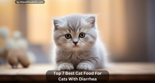 Top 7 Best Cat Food For Cats With Diarrhea In 2023