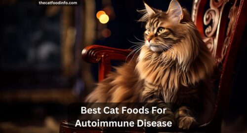 Top 6 Best Cat Foods For Autoimmune Disease In 2023