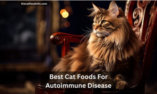 Top 6 Best Cat Foods For Autoimmune Disease In 2023